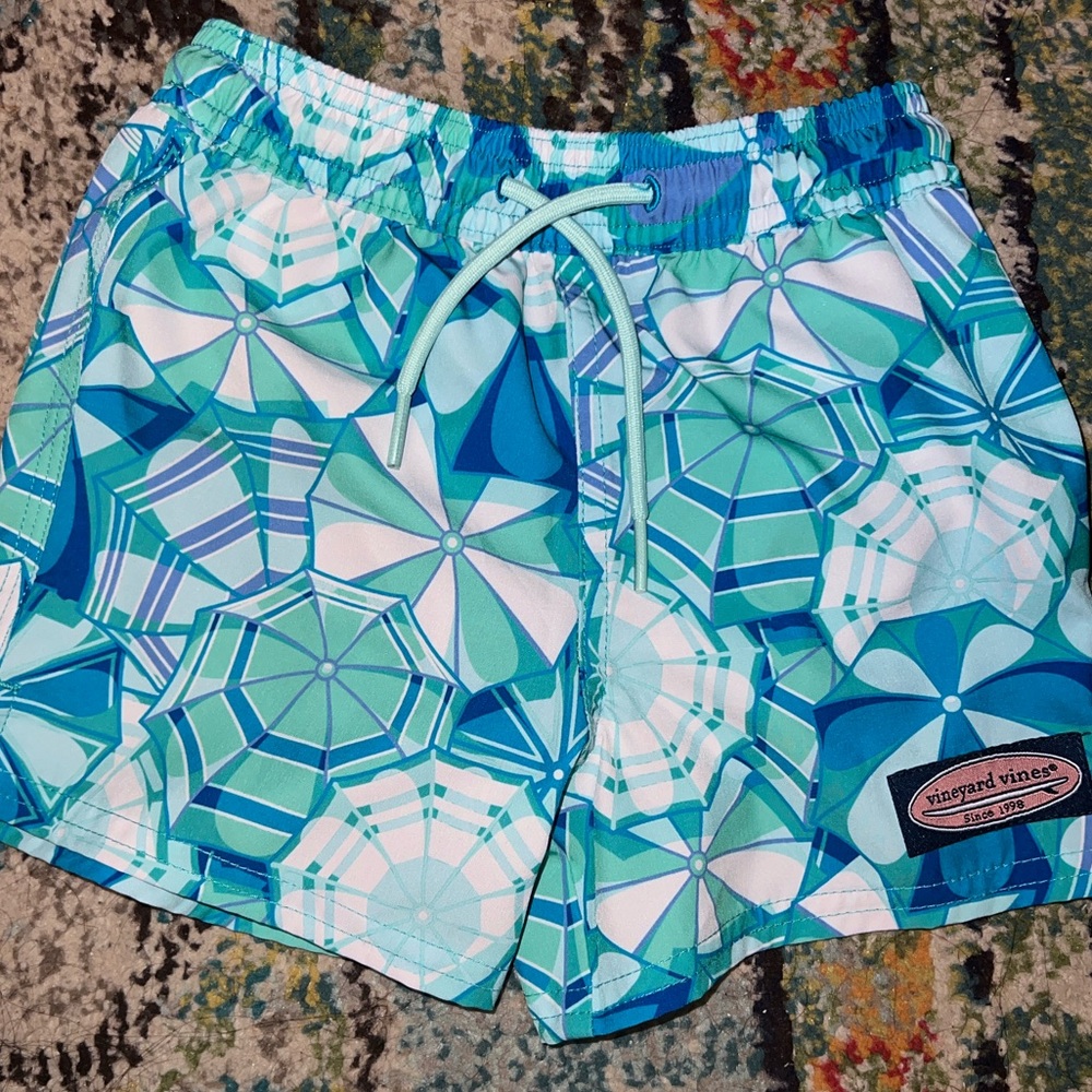 2T Vineyard Vines Kids' Swim Trunks in Blue and Green